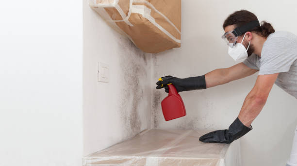 Professional Bathroom Mold Removal technician working in Madison, TN