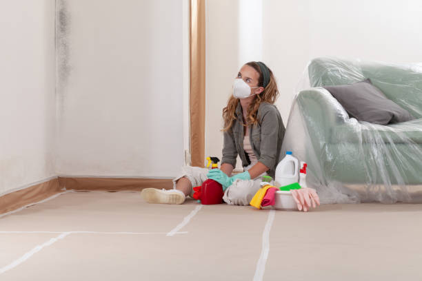 Reliable Bathroom Mold Removal contractor in Madison, TN by WQB Mold Removal